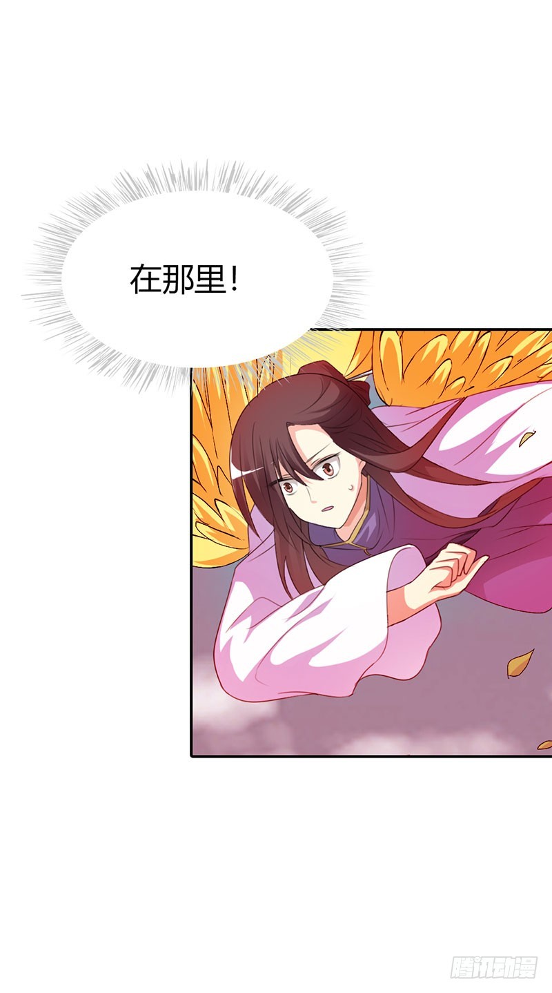 《通天嗜宠（这些神兽有点萌系列）》通天嗜宠-金色比翼鸟 第10页