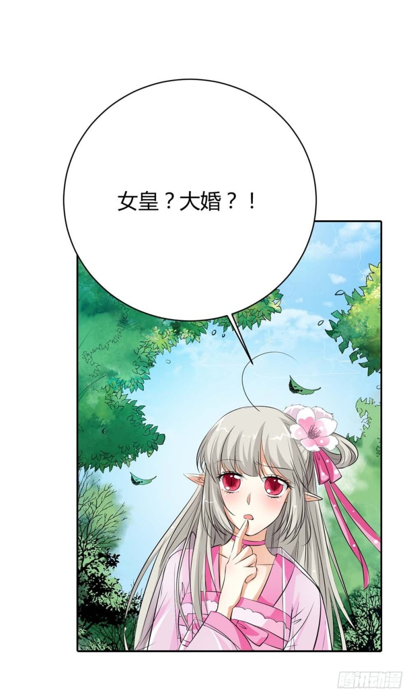 《通天嗜宠（这些神兽有点萌系列）》通天嗜宠-女皇大婚 第8页