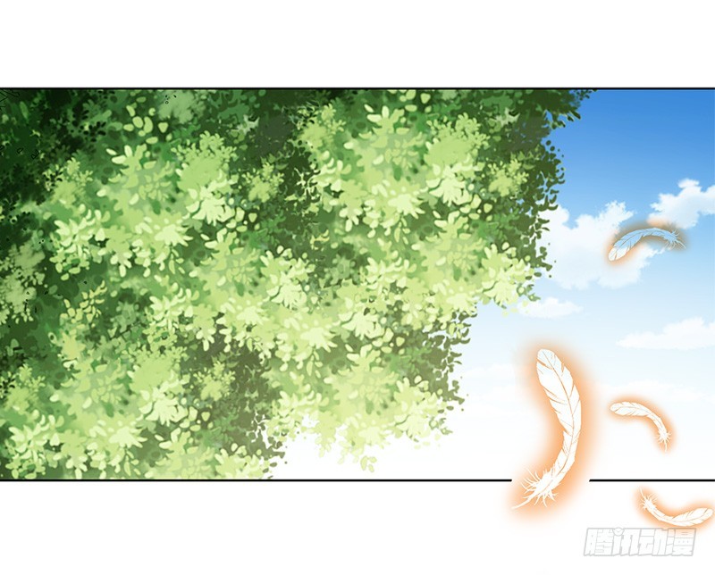 《通天嗜宠（这些神兽有点萌系列）》通天嗜宠-金翅比翼鸟暴走 第2页