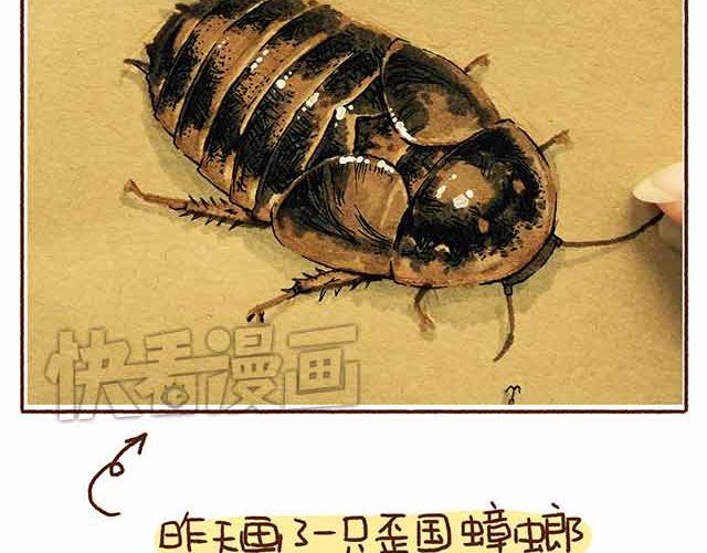 《41厘米的超幸福》第44话 做了个伟大的决定 第2页