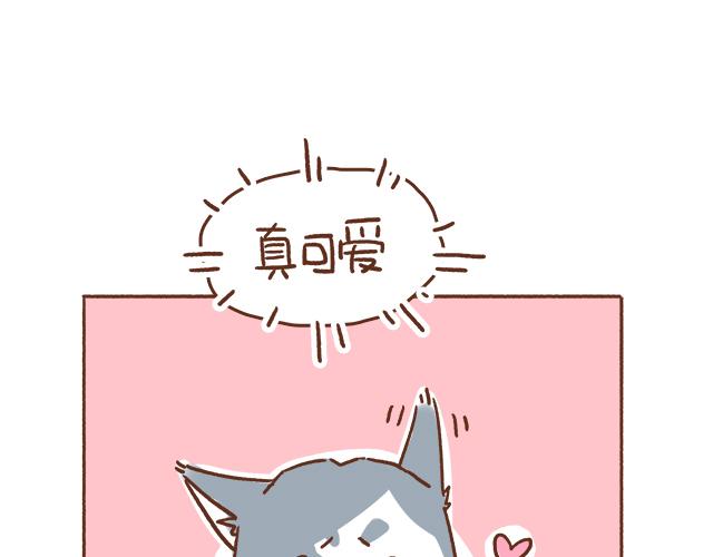 《41厘米的超幸福》单身狗受到一万点暴击 第21页