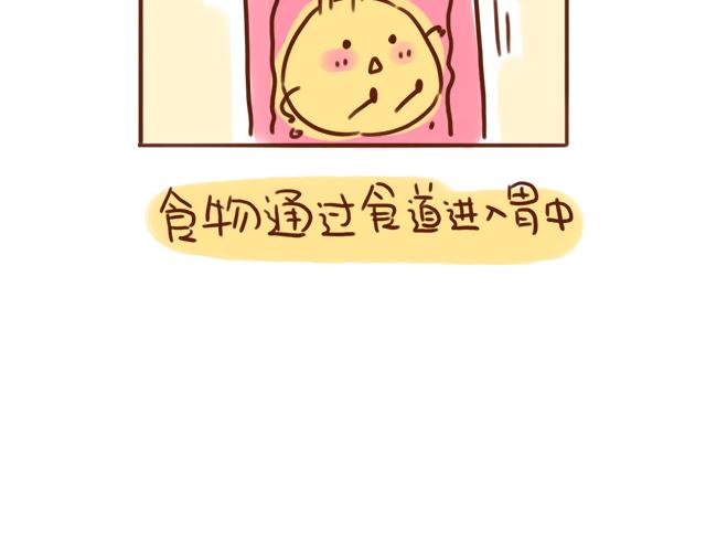 《41厘米的超幸福》吃饭不洗碗胜似活神仙 第5页
