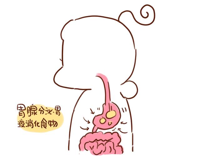 《41厘米的超幸福》吃饭不洗碗胜似活神仙 第6页