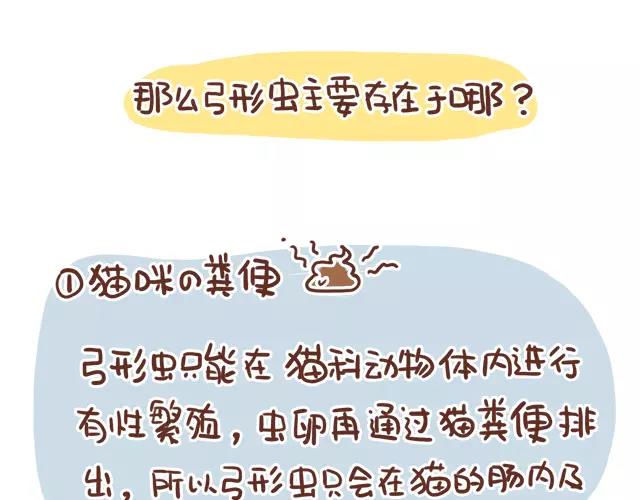 《41厘米的超幸福》第114话 宠物禁养？！ 第12页