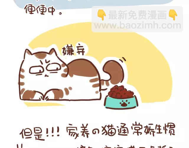 《41厘米的超幸福》第114话 宠物禁养？！ 第13页