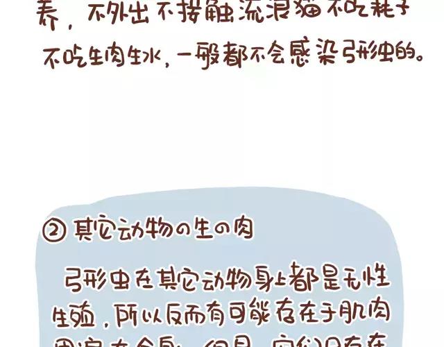 《41厘米的超幸福》第114话 宠物禁养？！ 第14页