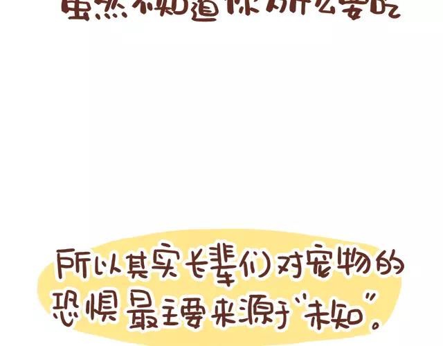 《41厘米的超幸福》第114话 宠物禁养？！ 第28页