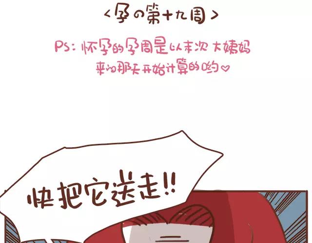 《41厘米的超幸福》第114话 宠物禁养？！ 第2页