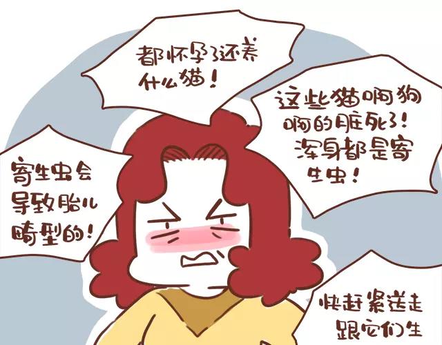 《41厘米的超幸福》第114话 宠物禁养？！ 第4页