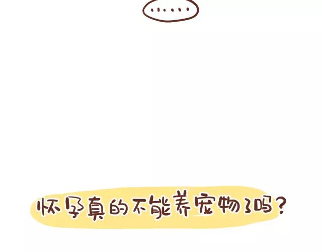 《41厘米的超幸福》第114话 宠物禁养？！ 第7页