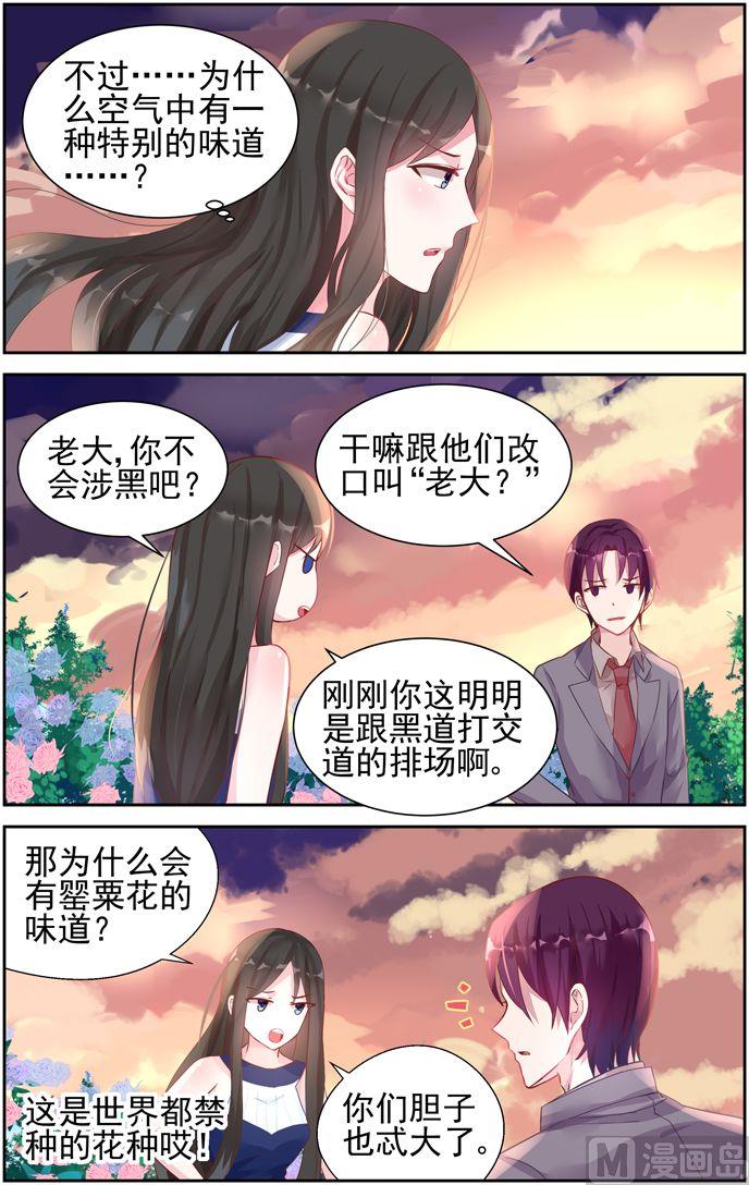 《霸情恶少狂追小逃妻》第39话 花海 第3页