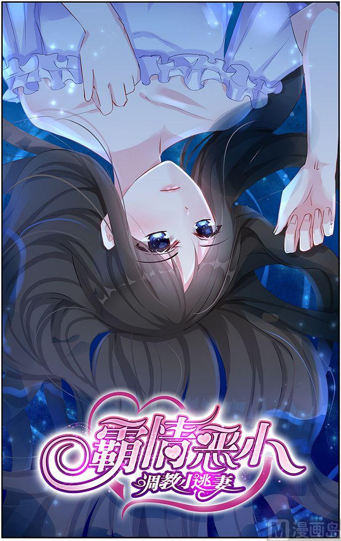 《霸情恶少狂追小逃妻》第49话 南宫寒的女人？ 第1页
