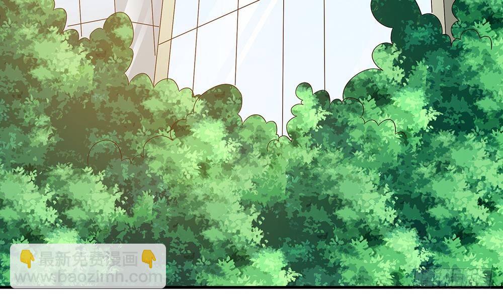 《总裁老公爱不够》第19话 疯狂的粉丝 第30页