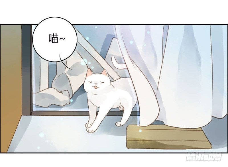 《颜值恋》哪里来的猫（上） 第16页