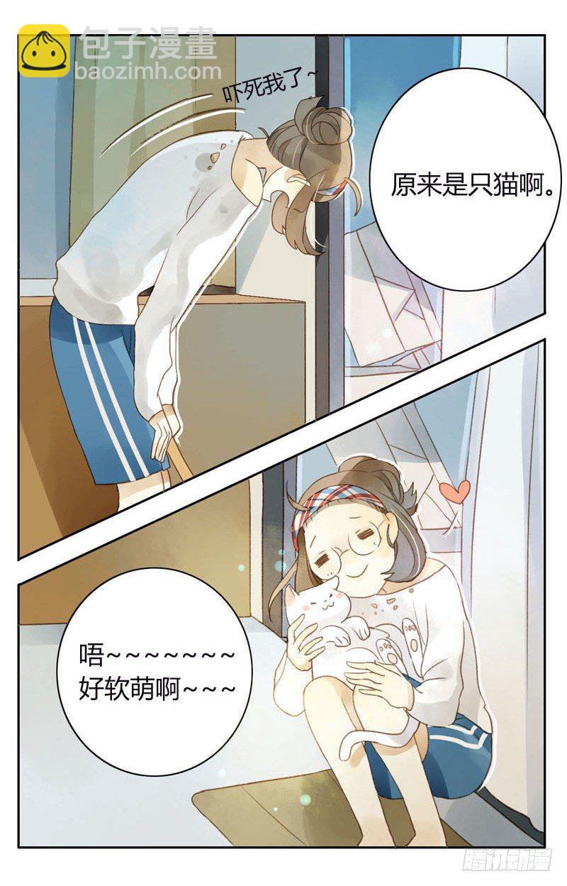 《颜值恋》哪里来的猫（上） 第17页