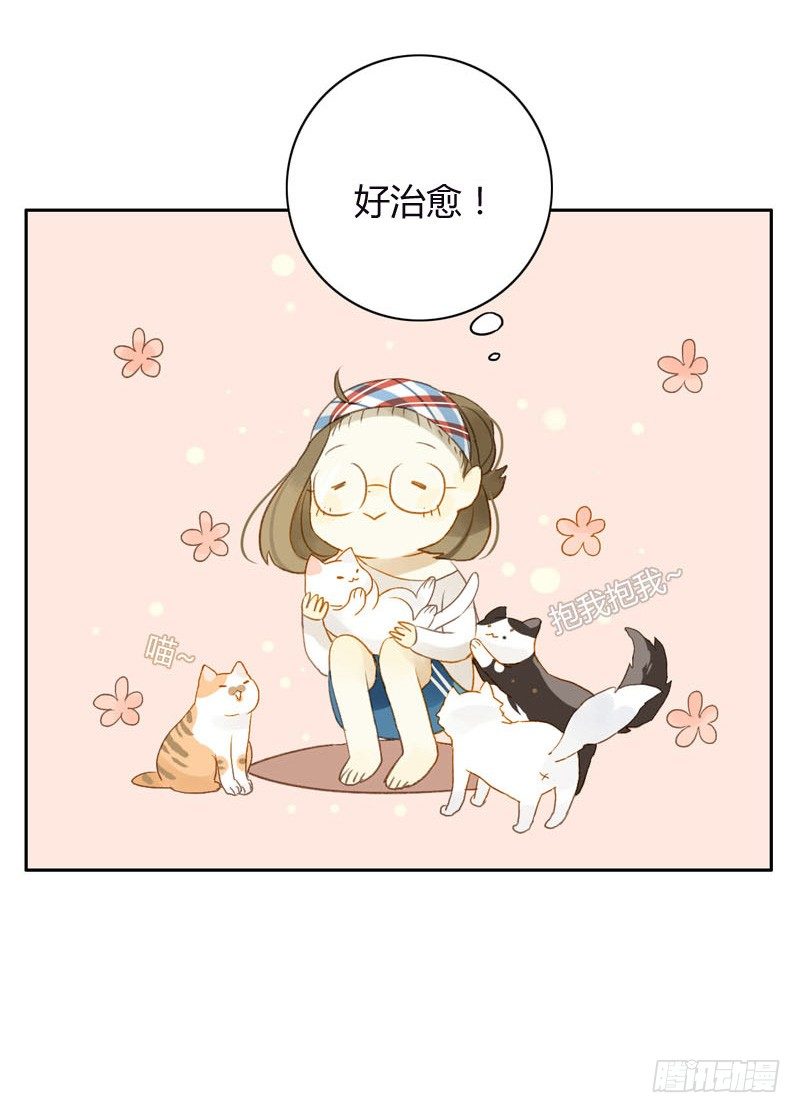 《颜值恋》哪里来的猫（上） 第20页