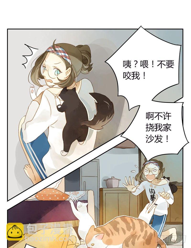 《颜值恋》哪里来的猫（上） 第21页