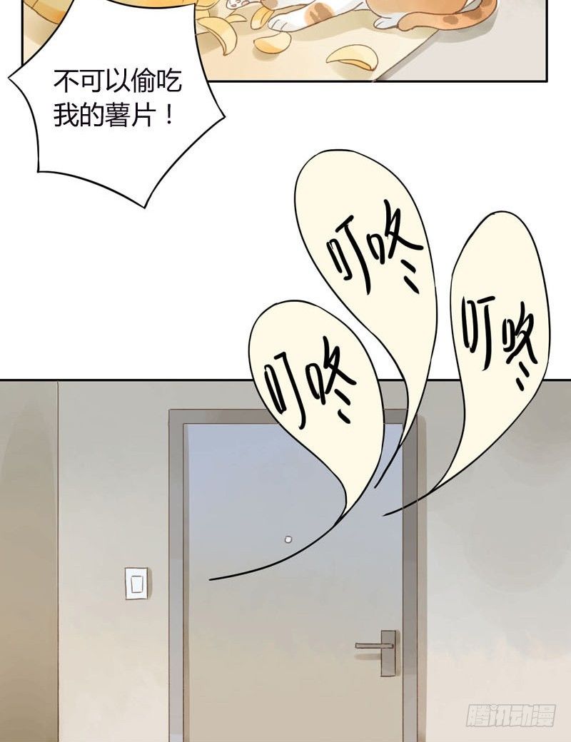 《颜值恋》哪里来的猫（上） 第22页