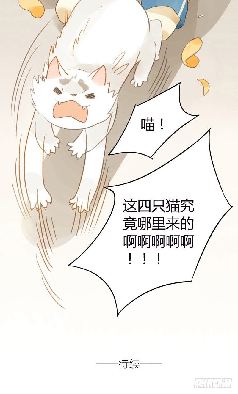 《颜值恋》哪里来的猫（上） 第24页