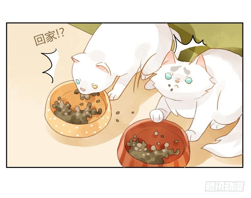 《颜值恋》哪里来的猫（中） 第10页