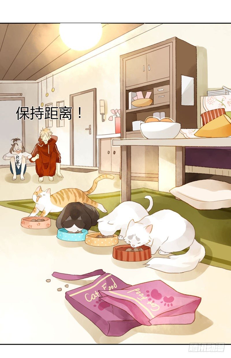 《颜值恋》哪里来的猫（中） 第15页