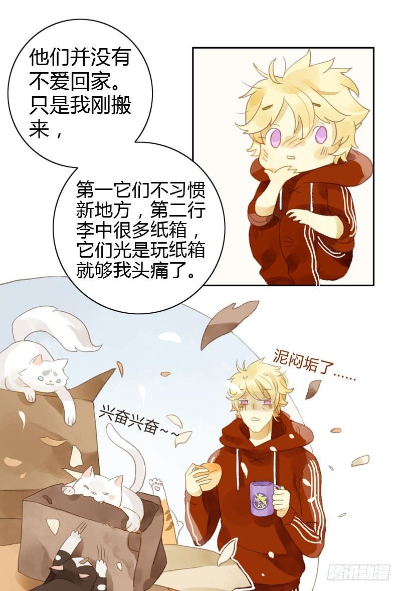《颜值恋》哪里来的猫（中） 第18页