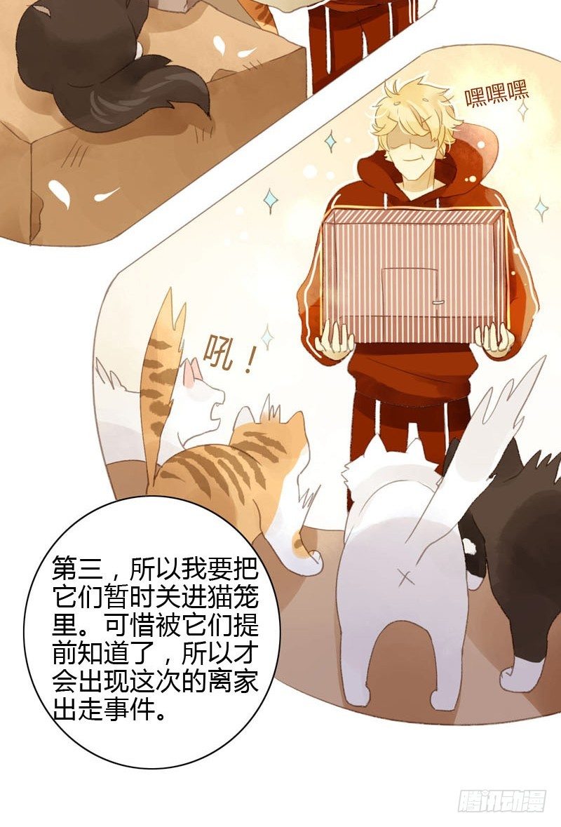 《颜值恋》哪里来的猫（中） 第19页