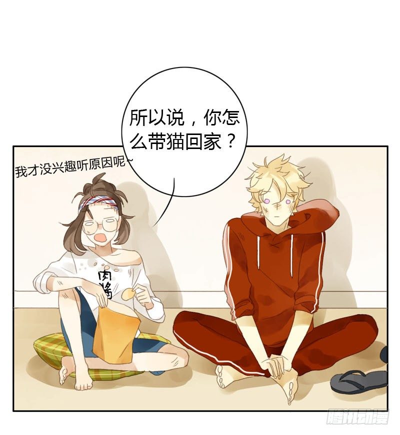 《颜值恋》哪里来的猫（中） 第20页