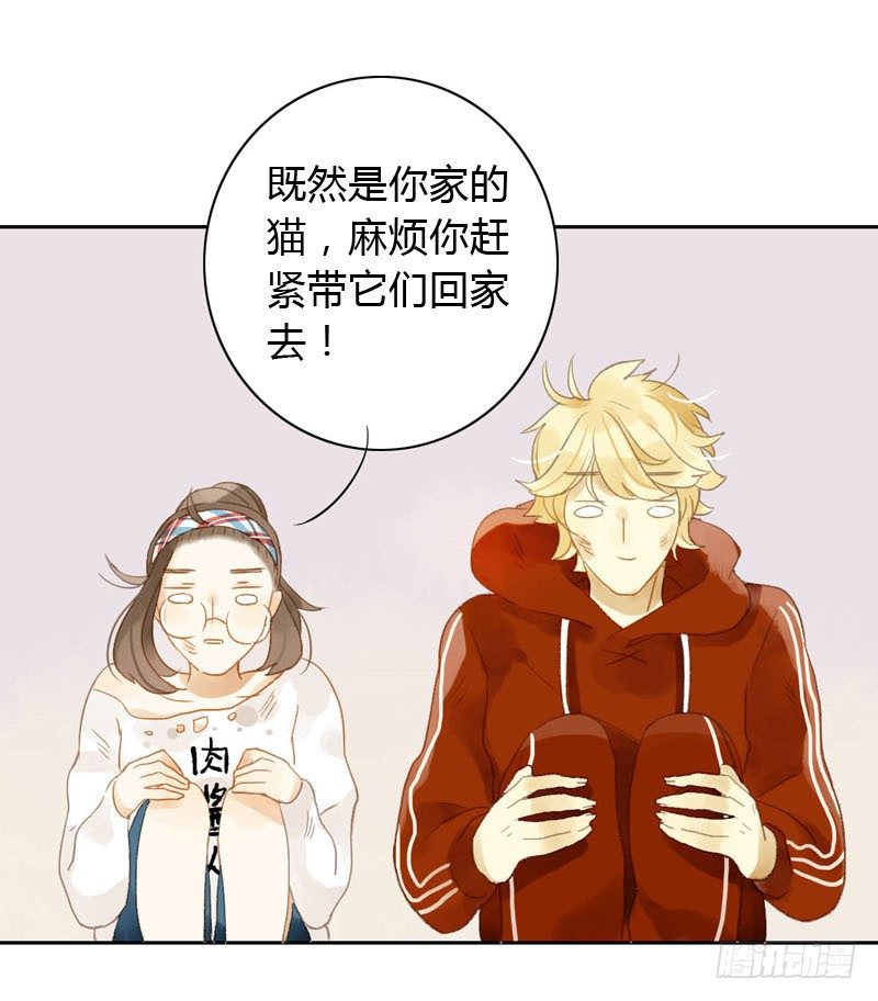 《颜值恋》哪里来的猫（中） 第9页