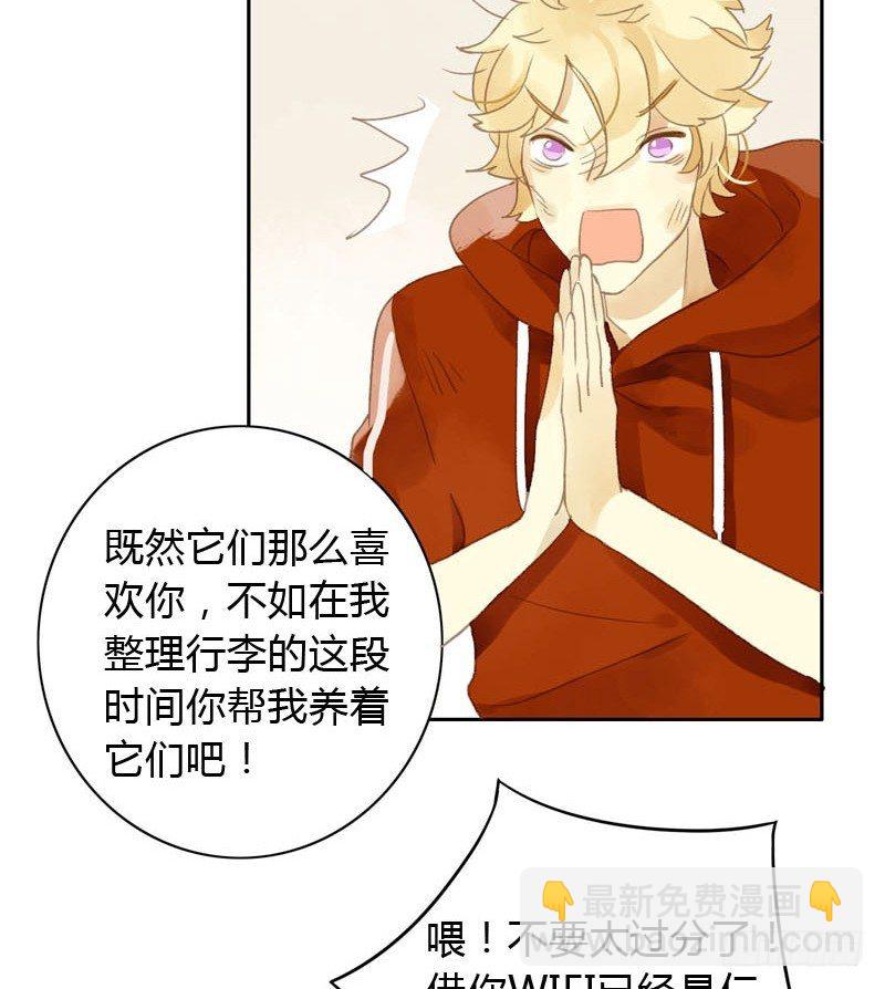 《颜值恋》哪里来的猫（下） 第2页