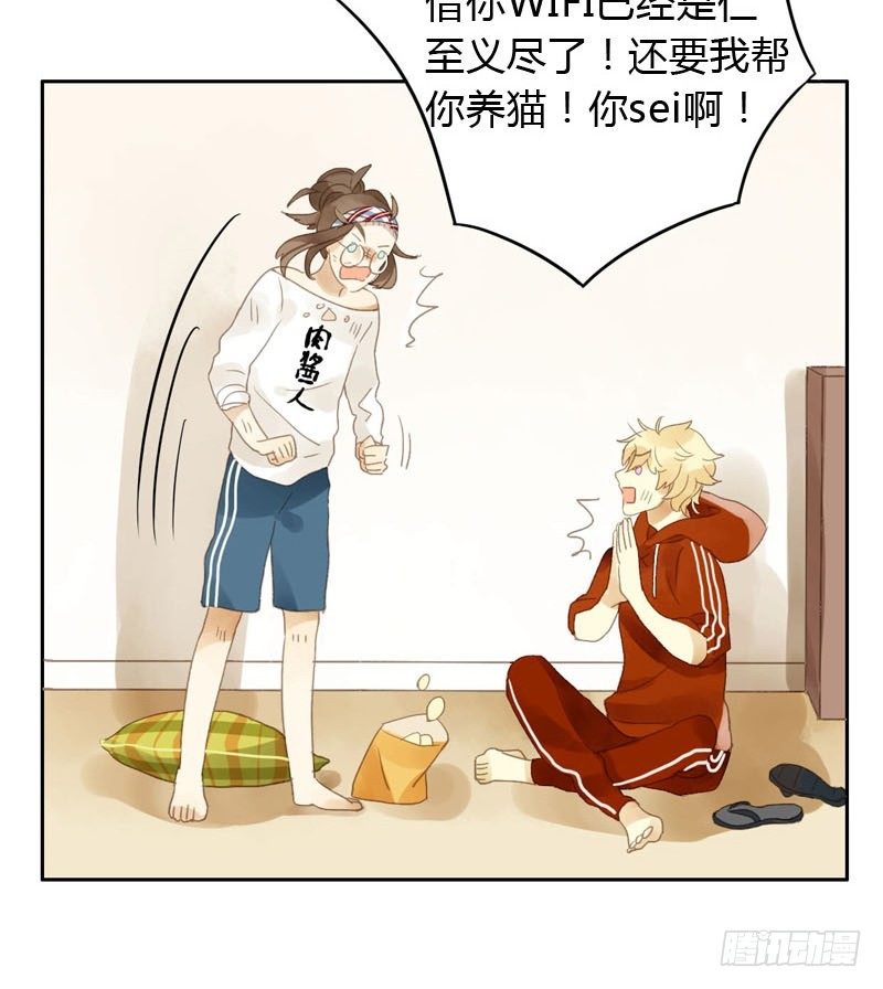 《颜值恋》哪里来的猫（下） 第3页