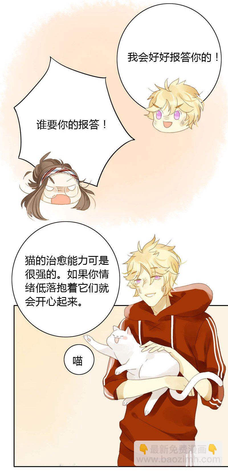 《颜值恋》哪里来的猫（下） 第5页