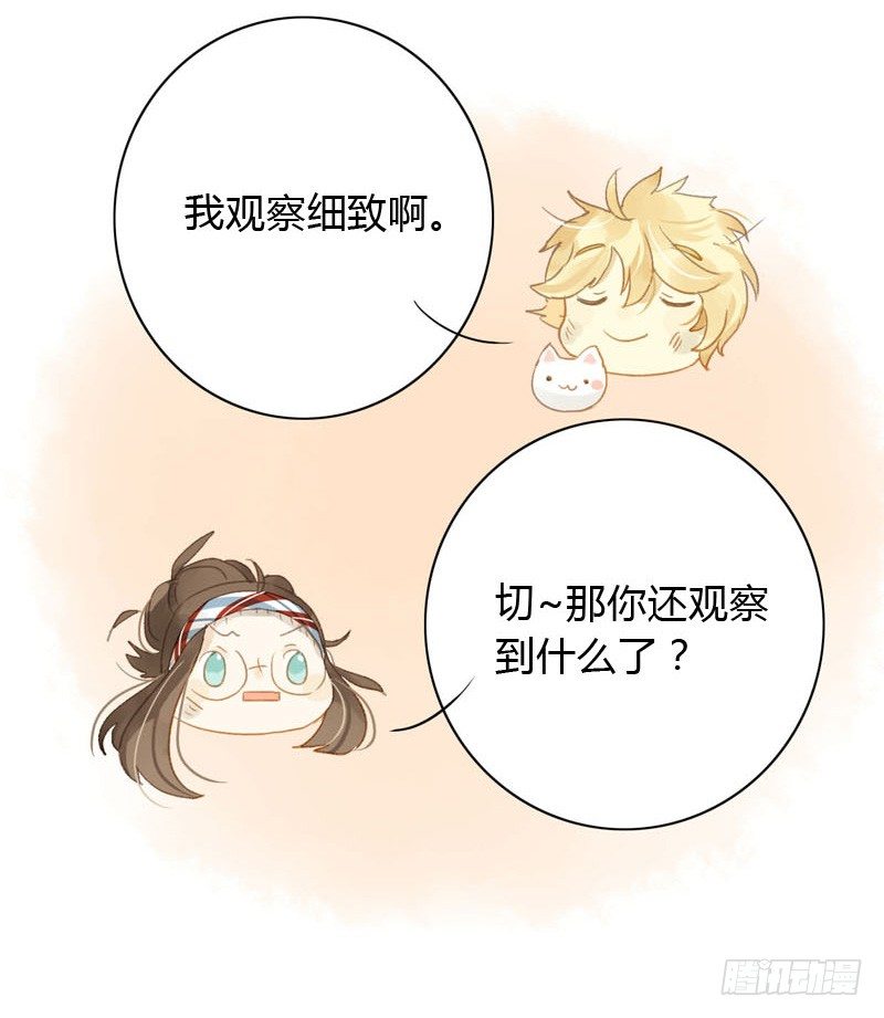 《颜值恋》哪里来的猫（下） 第8页