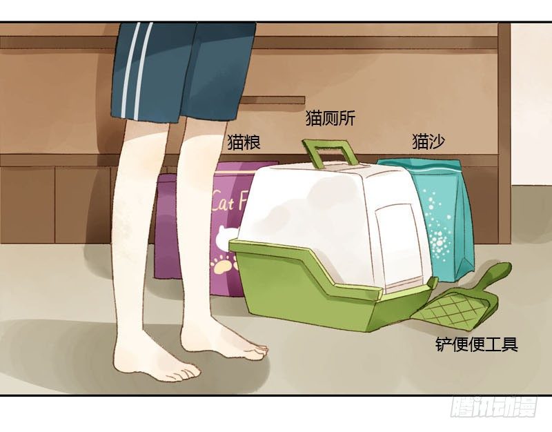《颜值恋》我的邻居居然是……（下） 第13页
