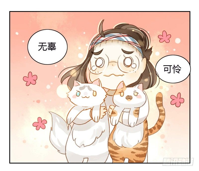 《颜值恋》黑客（下） 第12页