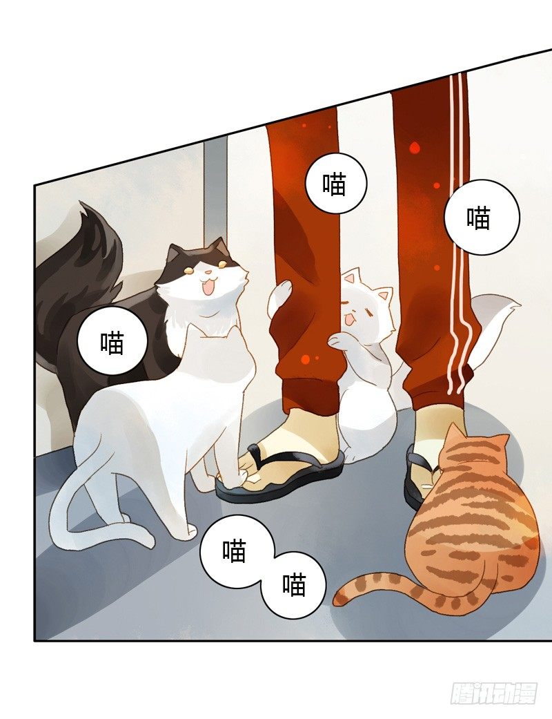 《颜值恋》去婚礼前夕（上） 第12页