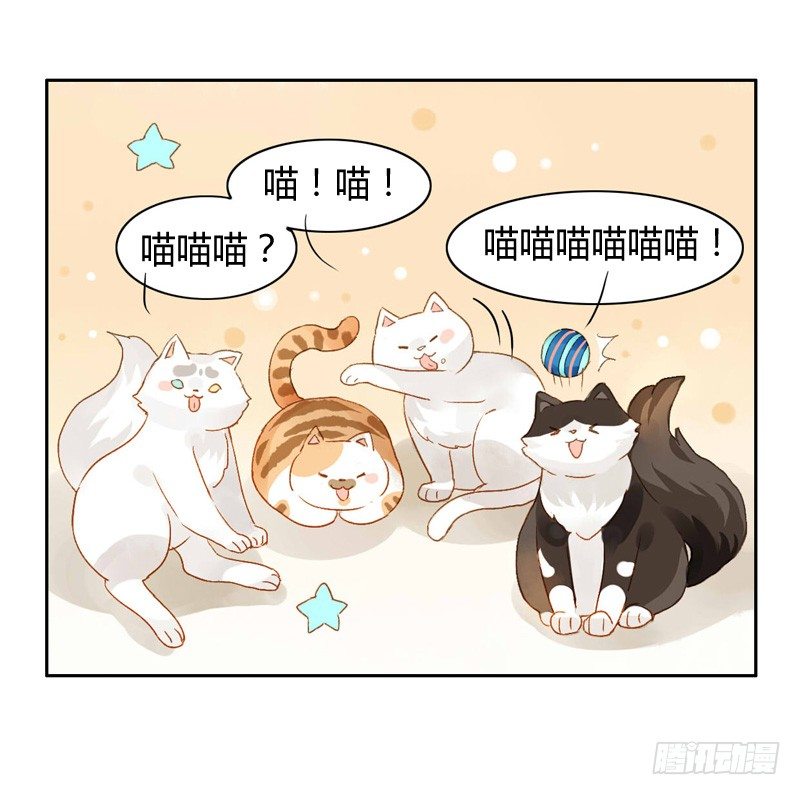 《颜值恋》救驾（上） 第13页