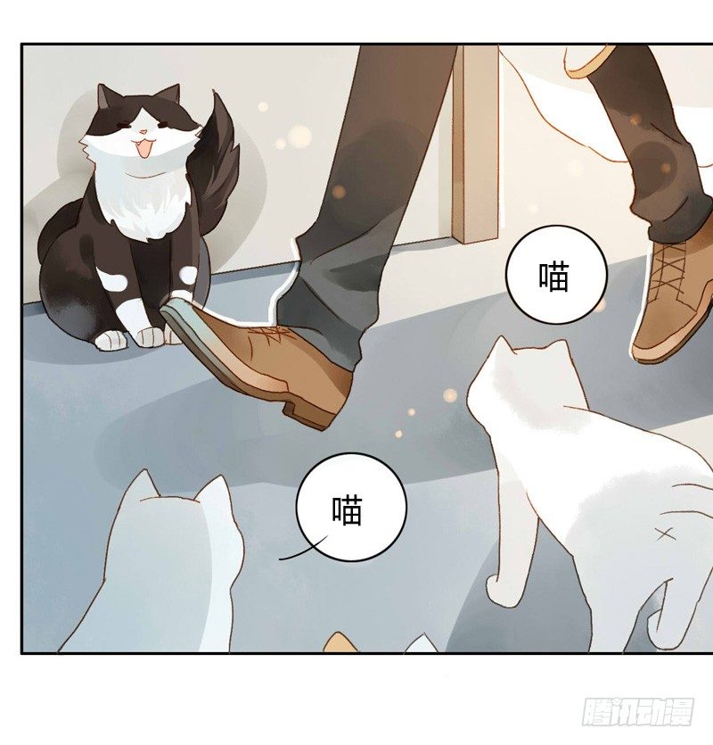 《颜值恋》婚礼之后（中二） 第9页