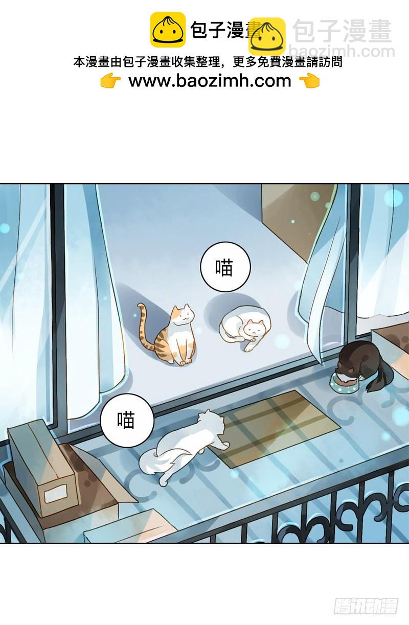《颜值恋》做鸵鸟（中） 第2页