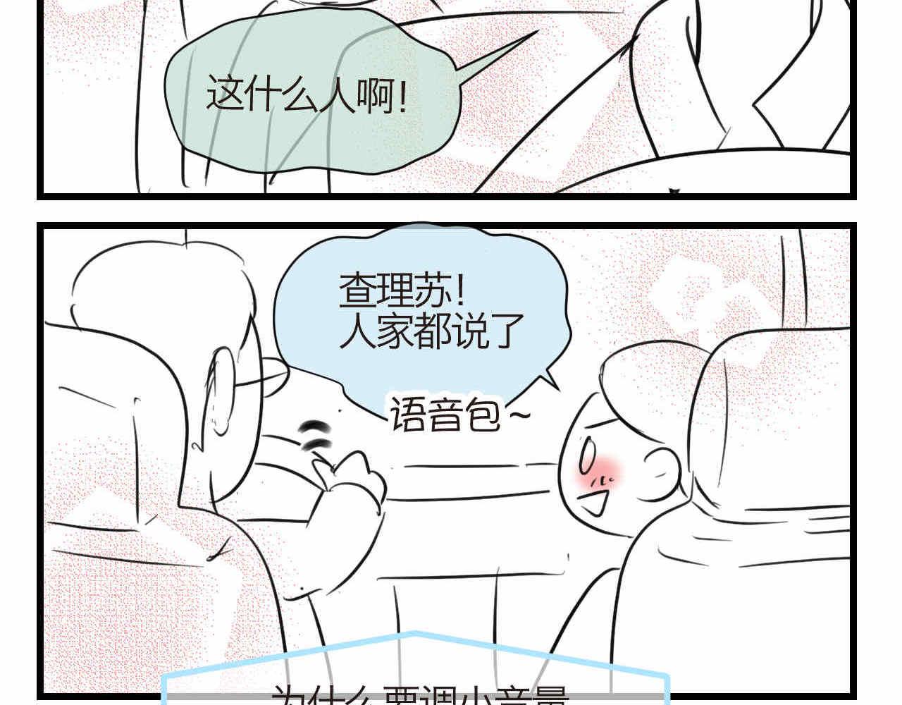 《第一次做妈妈》80.妈妈的语音包 第3页