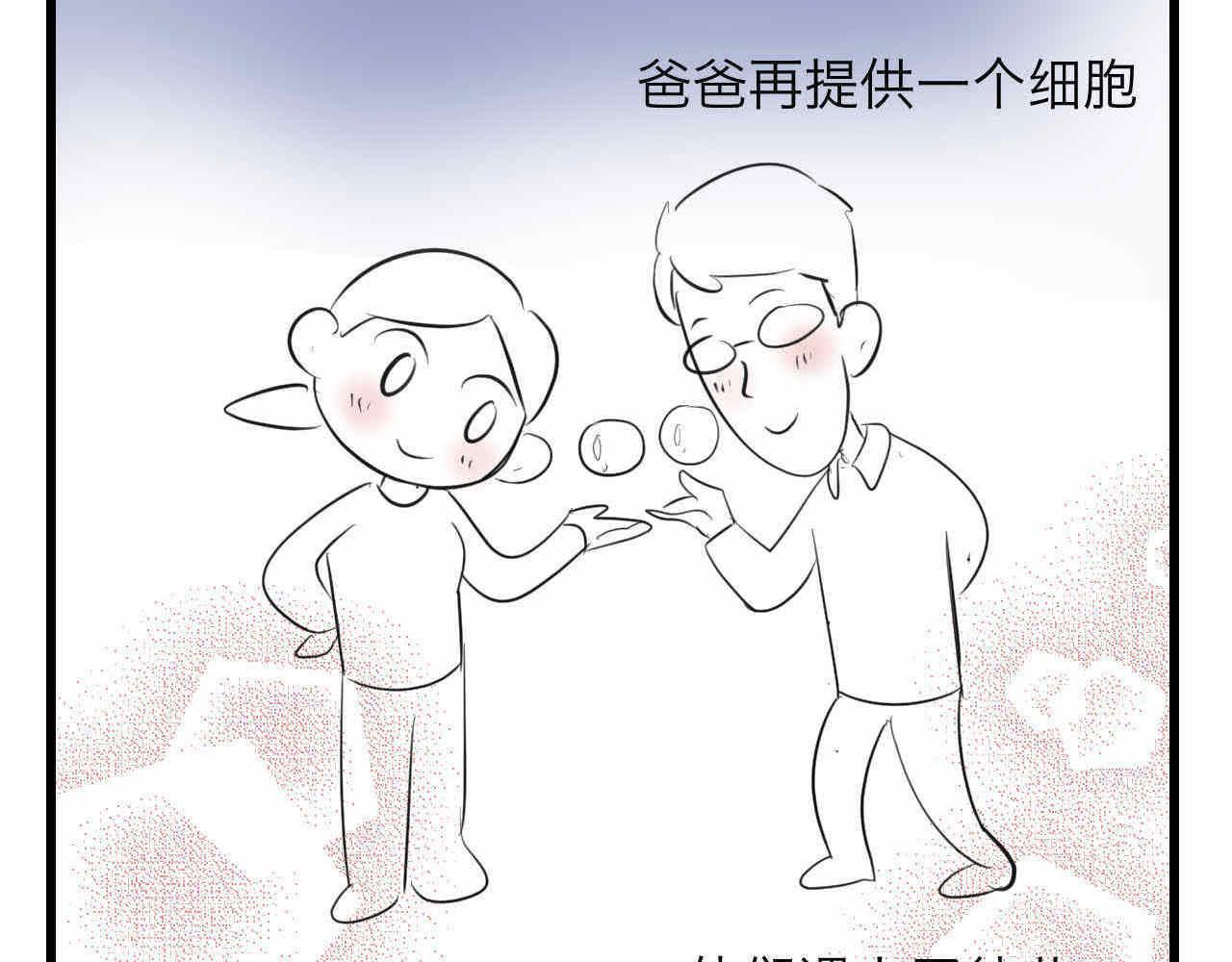 《第一次做妈妈》79.结合的泡泡 第13页