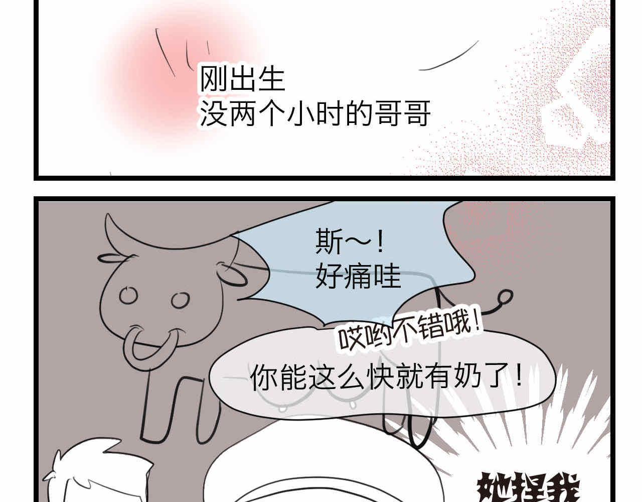 《第一次做妈妈》83.小鸡啄手的感觉？ 第8页
