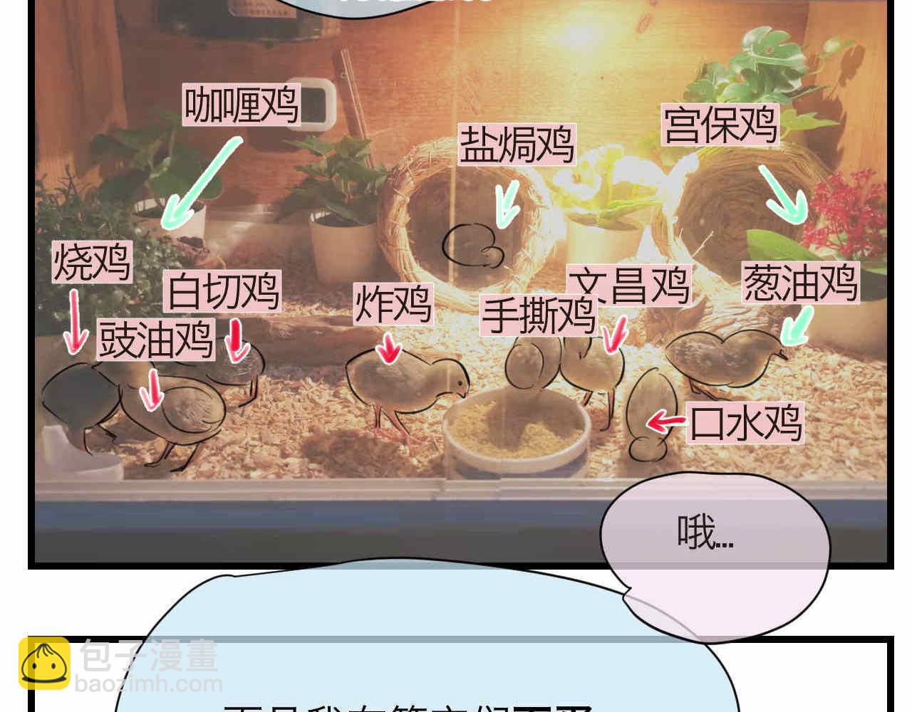 《第一次做妈妈》81.网红小鸡 第22页