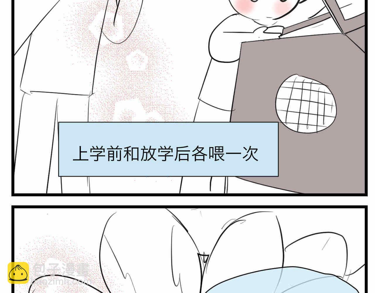 《第一次做妈妈》81.网红小鸡 第3页