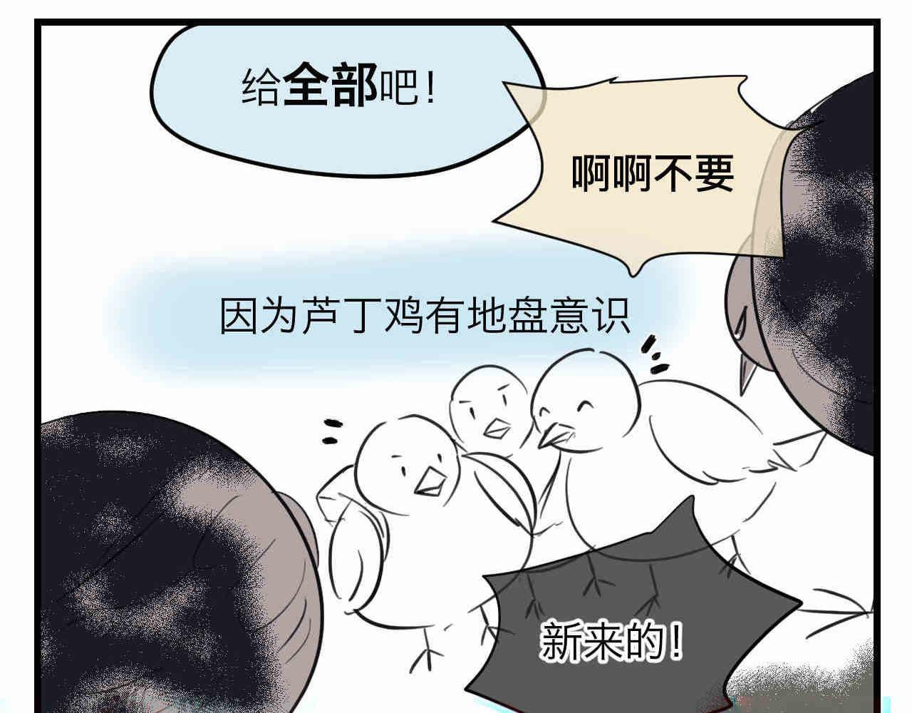 《第一次做妈妈》98.小鸡的重量 第4页