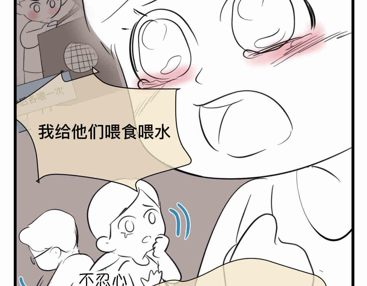 《第一次做妈妈》98.小鸡的重量 第8页