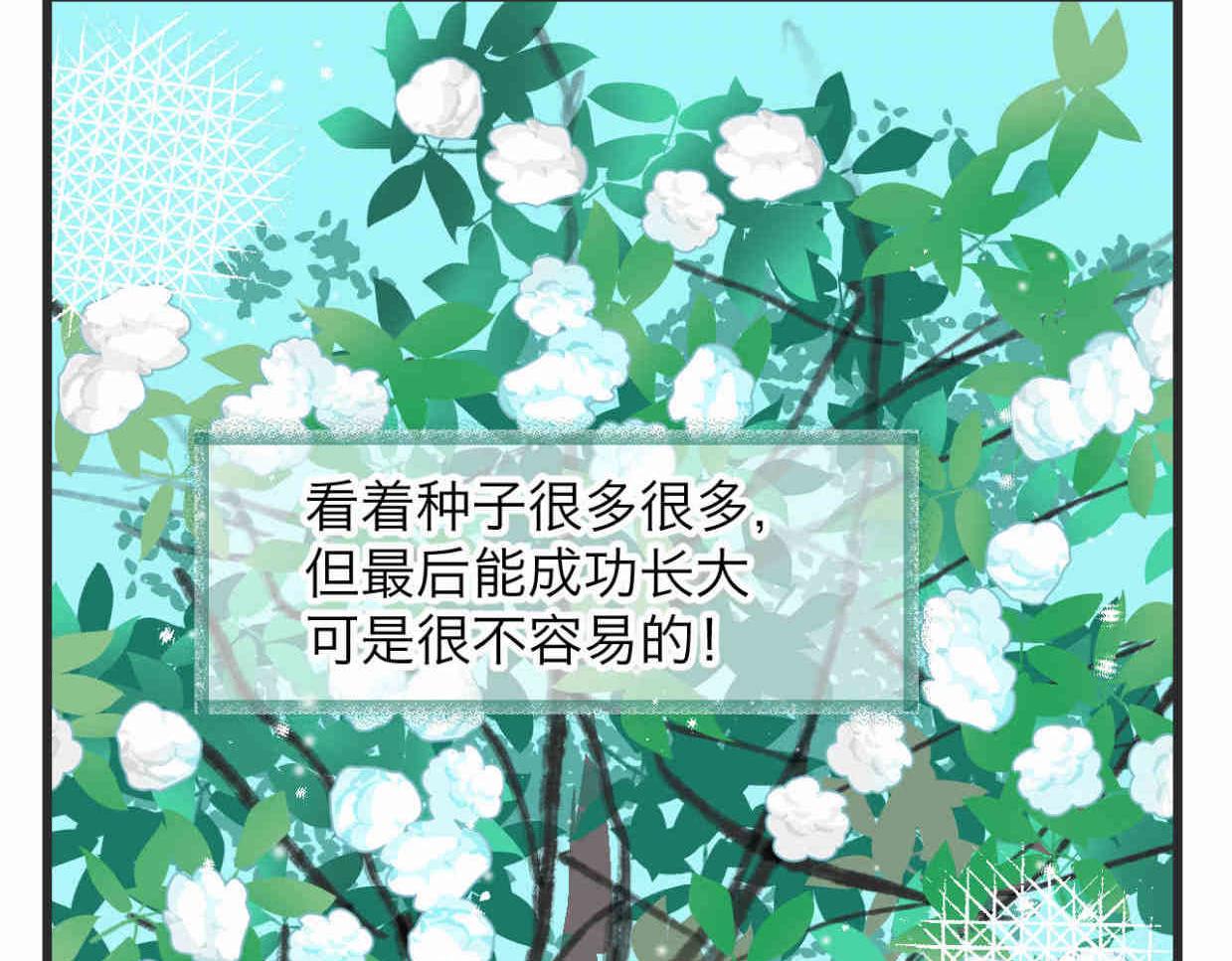 《第一次做妈妈》113.木棉花的种子 第17页