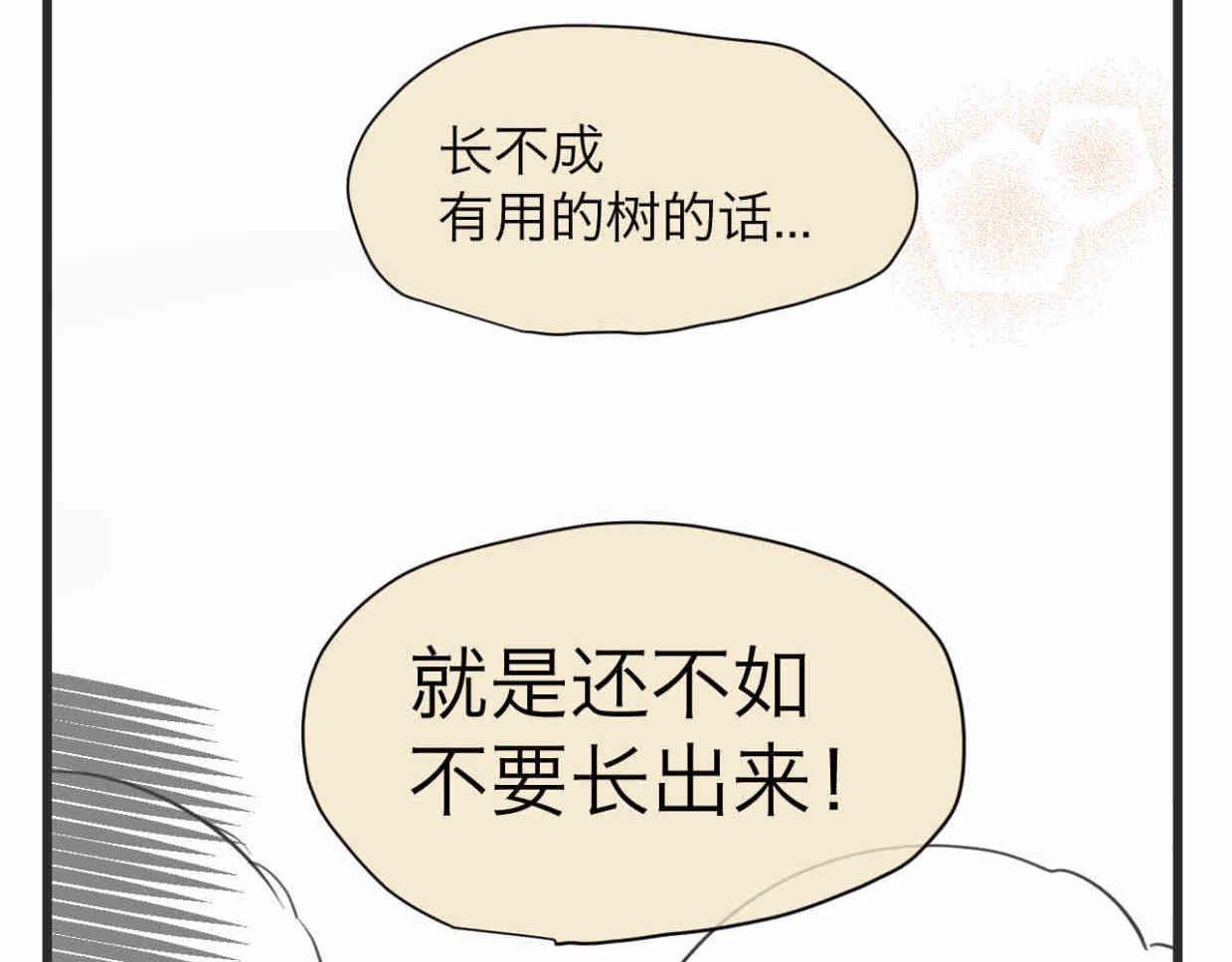 《第一次做妈妈》113.木棉花的种子 第22页