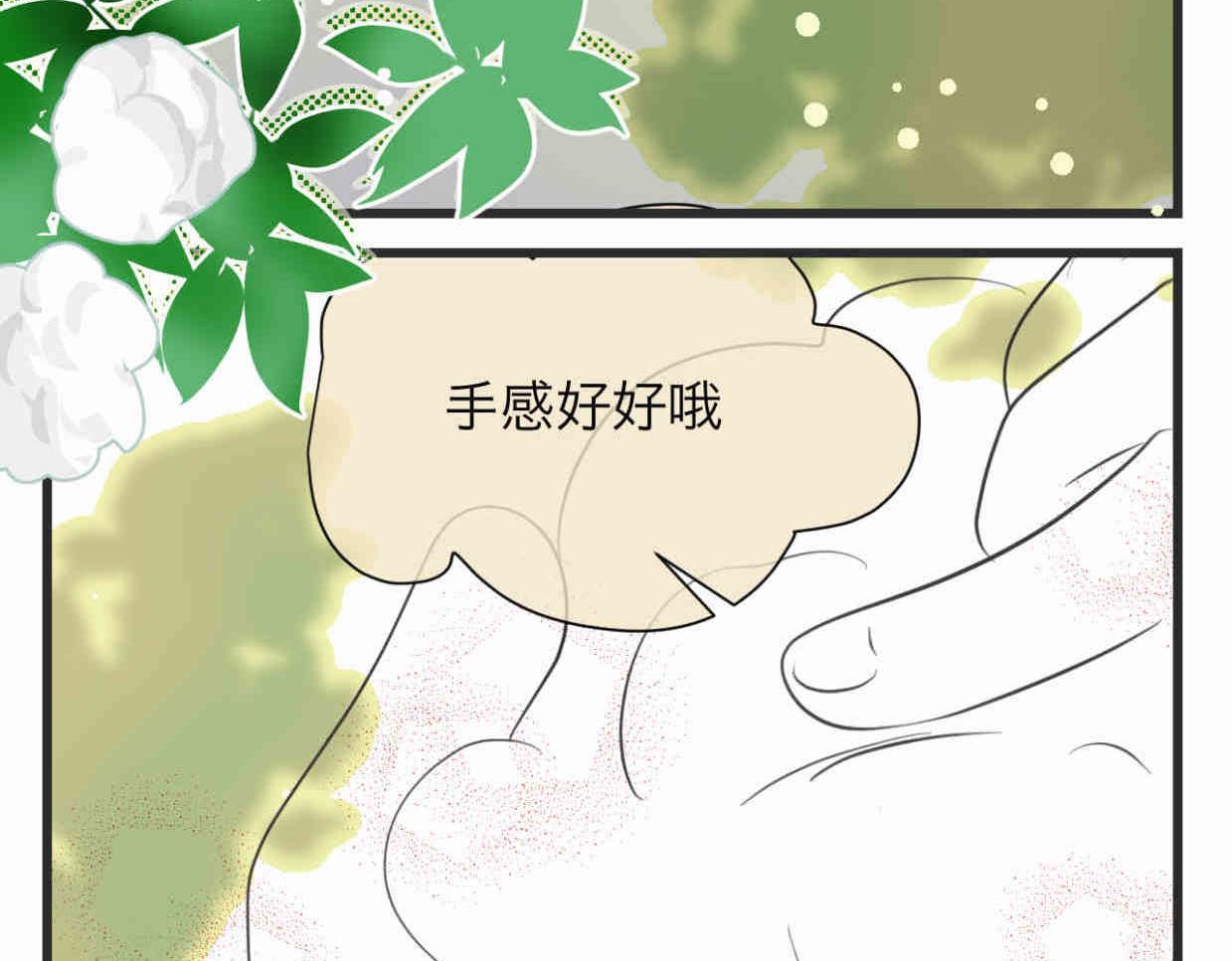 《第一次做妈妈》113.木棉花的种子 第4页
