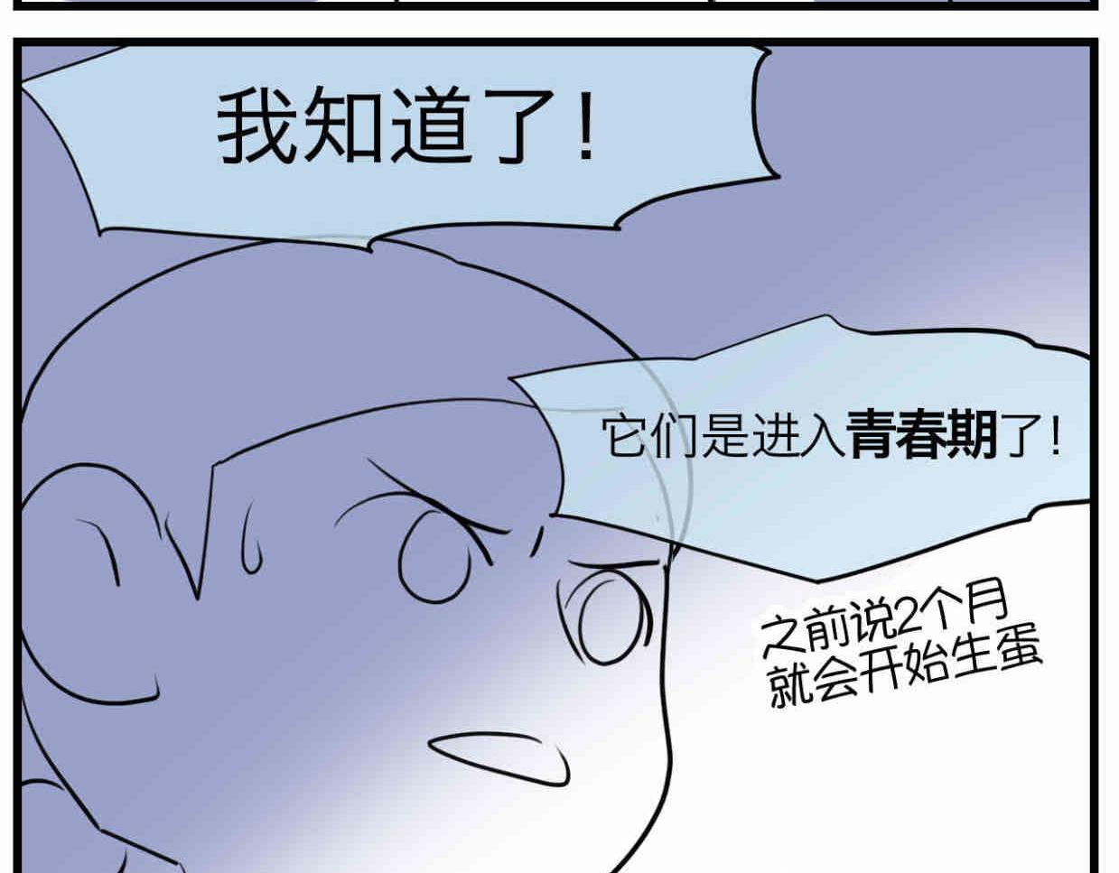 《第一次做妈妈》114.小鸡的死因 第7页
